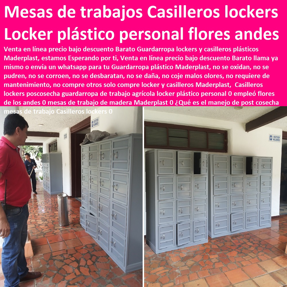 Casilleros lockers poscosecha guardarropa de trabajo agrícola locker plástico personal 0 empleó flores de los andes 0 mesas de trabajo de madera Maderplast 0 ¿Qué es el manejo de postcosecha mesas de trabajo Casilleros lockers 0 Casilleros lockers poscosecha guardarropa de trabajo agrícola locker plástico CULTIVOS TECNIFICADOS, INVERNADEROS, Semilleros, Bancos De Siembra, Hidroponía, Agricultura, Cosecha, Poscosecha, Tutores Para Flores, Cable Vía Bananas Aromáticas, personal 0 empleó flores de los andes 0 mesas de trabajo de madera Maderplast 0 ¿Qué es el manejo de postcosecha mesas de trabajo Casilleros lockers 0